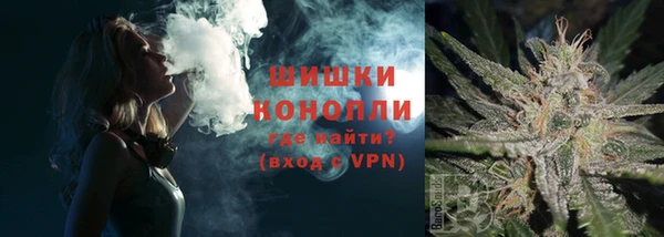 2c-b Гусев