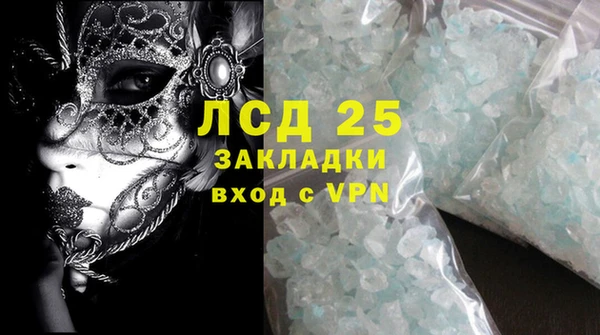 мяу мяу мука Дмитриев