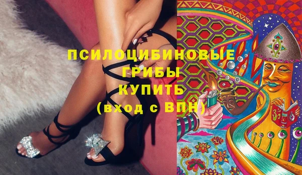 гашик Гусиноозёрск