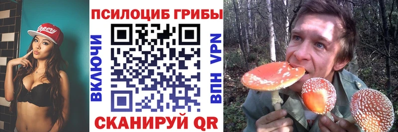 Псилоцибиновые грибы мухоморы  купить закладку  ссылка на мегу tor  Ершов 